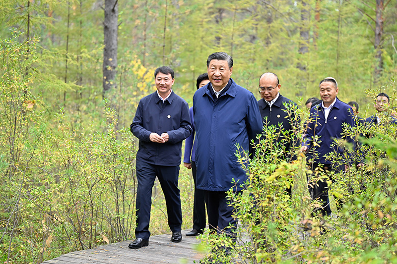 9月6日至8日，中共中央總書(shū)記、國(guó)家主席、中央軍委主席習(xí)近平在黑龍江考察。這是6日下午，習(xí)近平在大興安嶺地區(qū)漠河市漠河林場(chǎng)自然林區(qū)考察